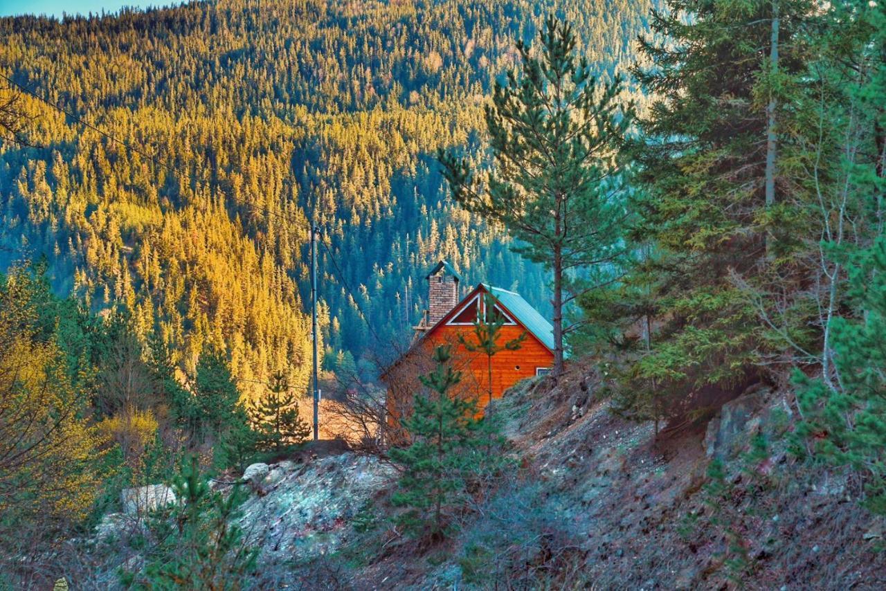 Cozy Cottage Feel Free Continental Didi Ateni Eksteriør billede
