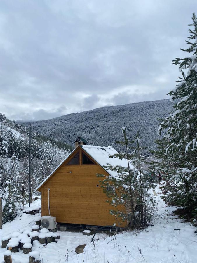 Cozy Cottage Feel Free Continental Didi Ateni Eksteriør billede